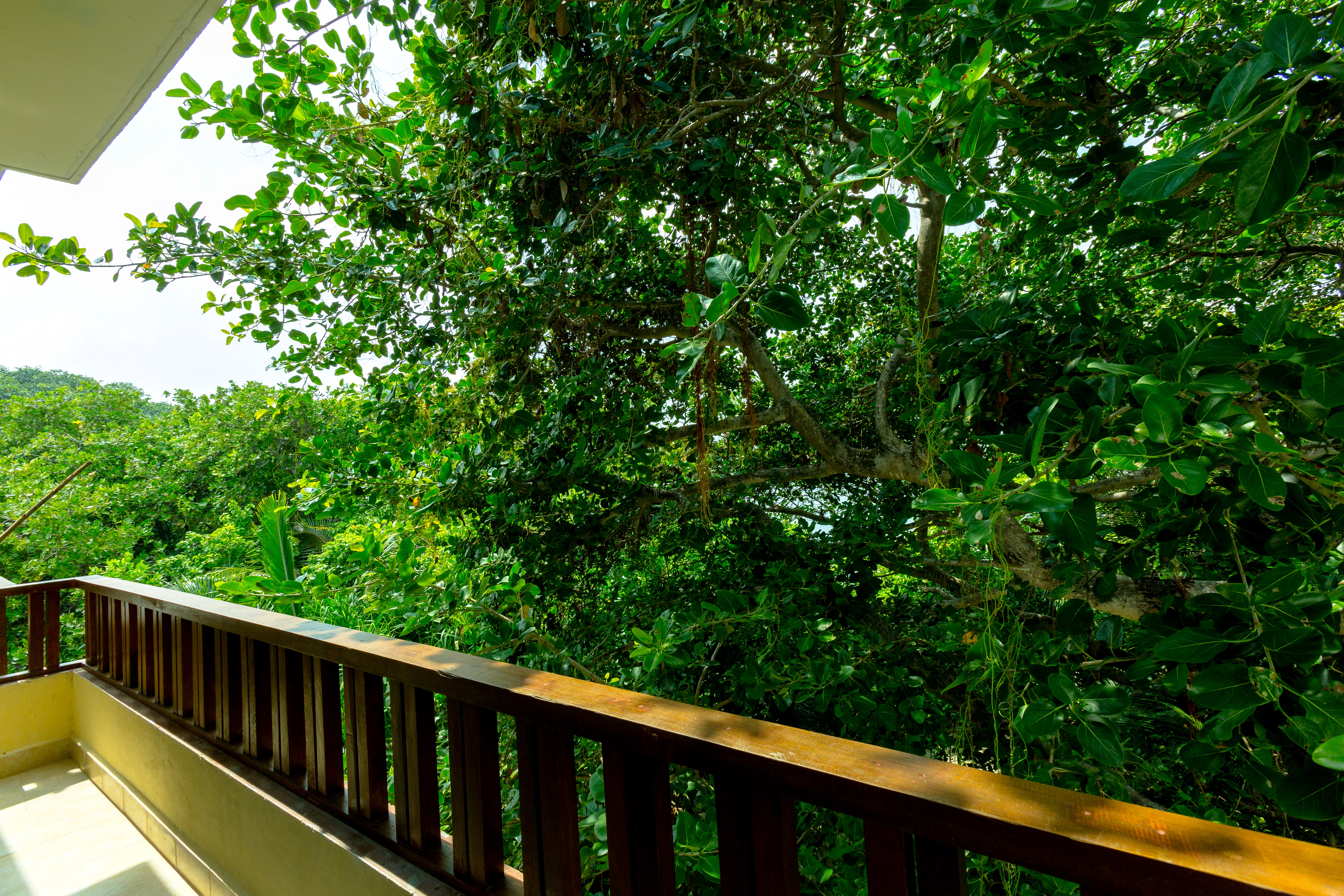 Grand Ocean View Suite - Image 4